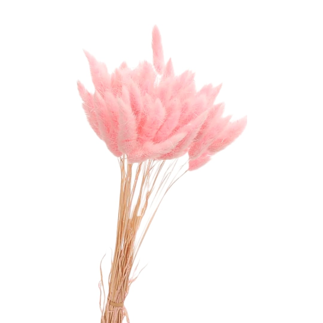 flori-uscate-roz.jpg