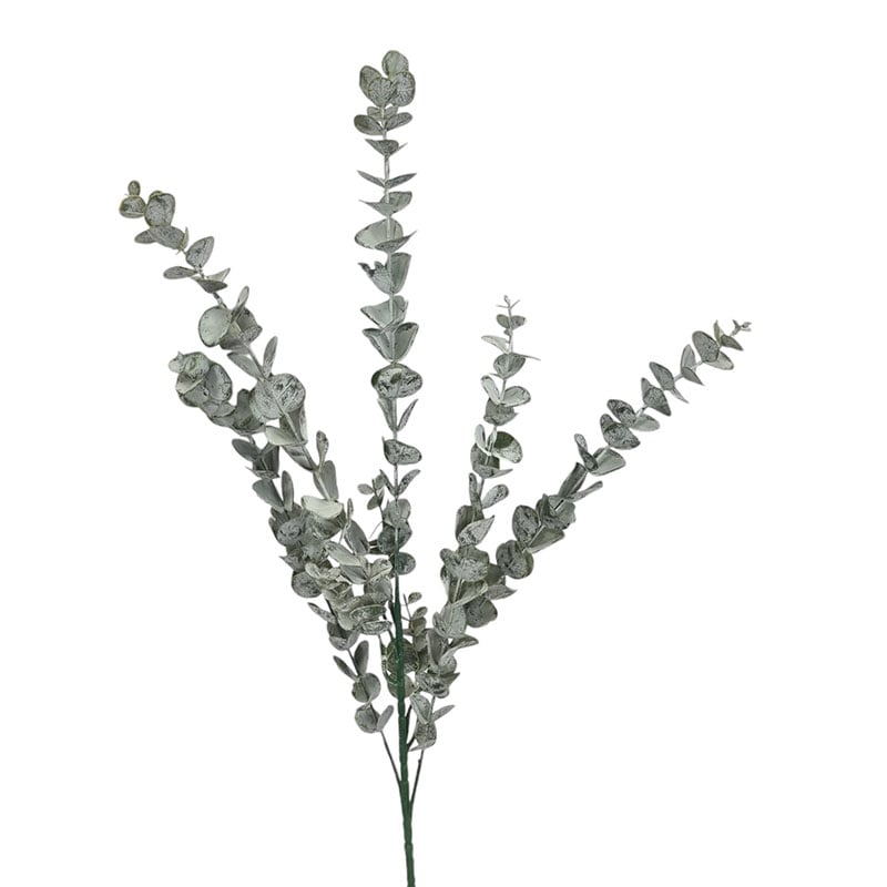 eucalipt-prafuit-85cm.jpg